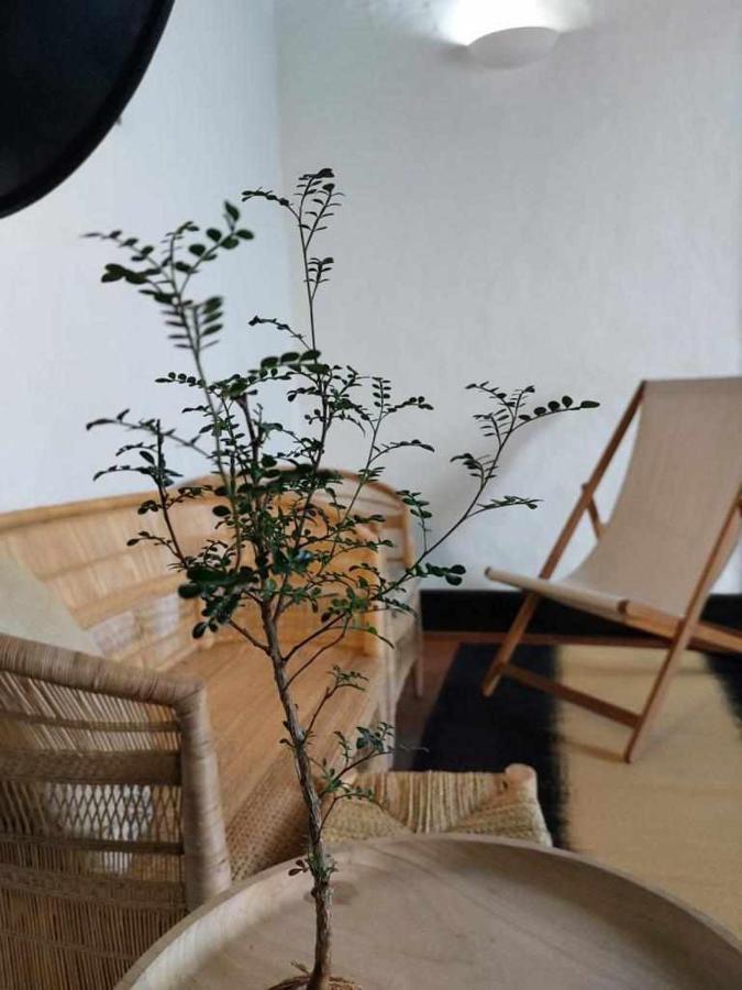 Casa Yooj Designers House In Teguise Lägenhet Teguise  Exteriör bild